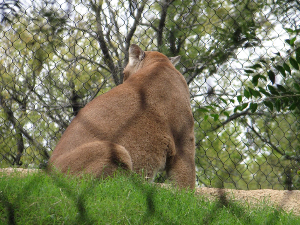 20100206 522.JPG